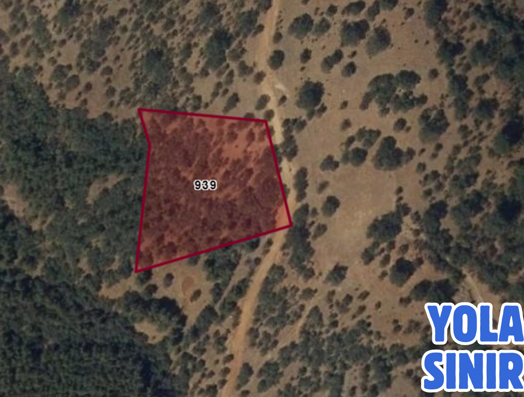 DENİZLİ SARAYKÖY KABAAĞAÇ 4.300 M² TARLAMIZ SATILIKTIR - DENİZLİ SARAYKÖY fotoğraf 2